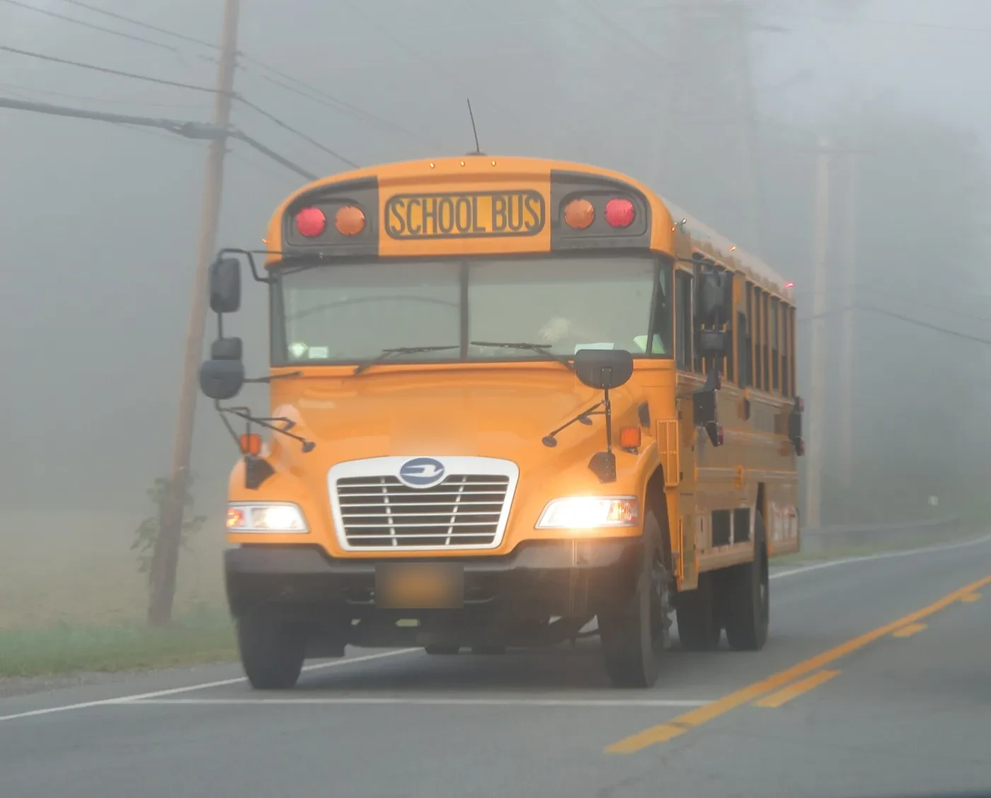 A school bus with its headlights on, driving through morning fog